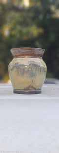 Black Vase 1