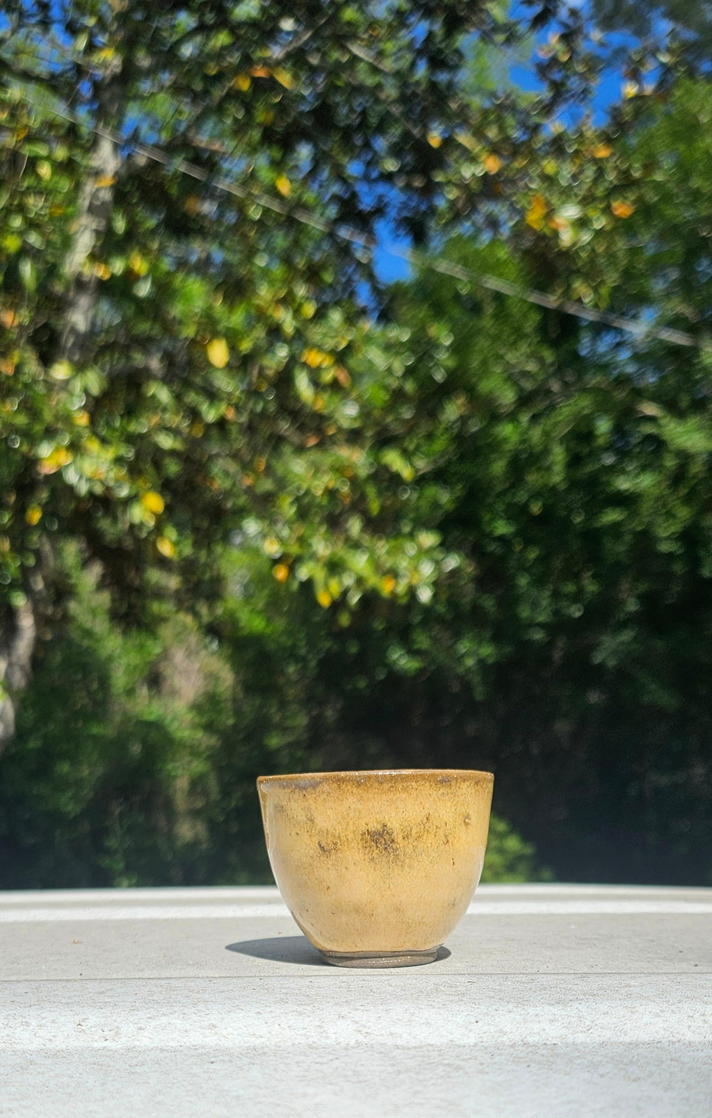 4 teacup/Shotglass Set