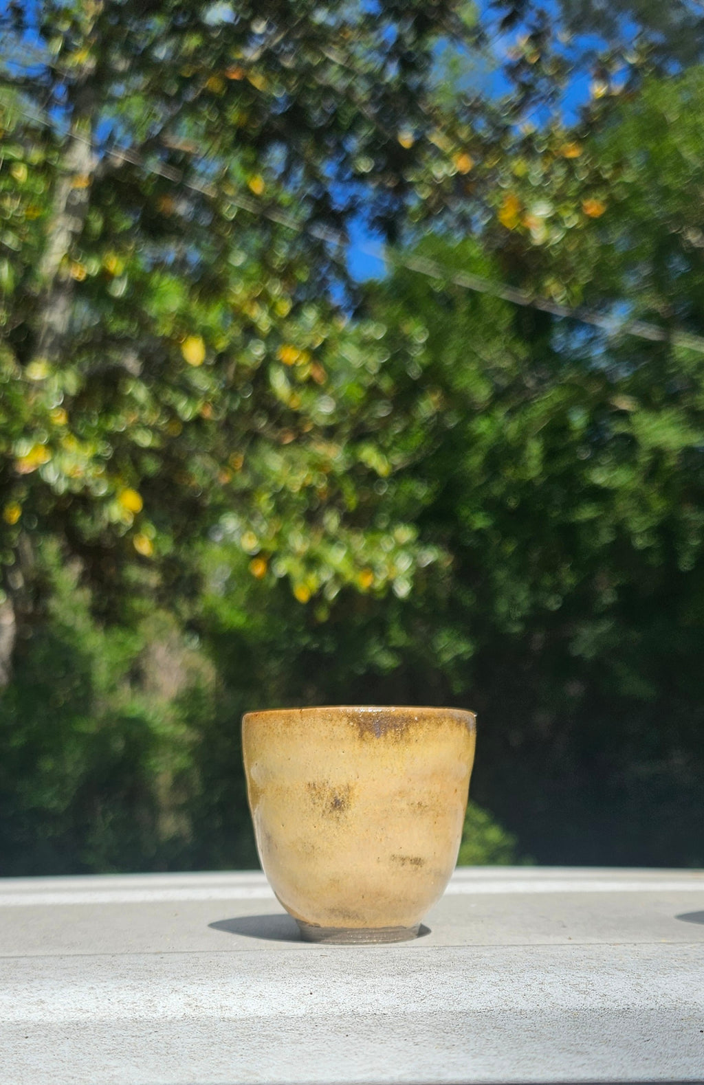 4 teacup/Shotglass Set