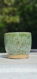 Small Desk Planter