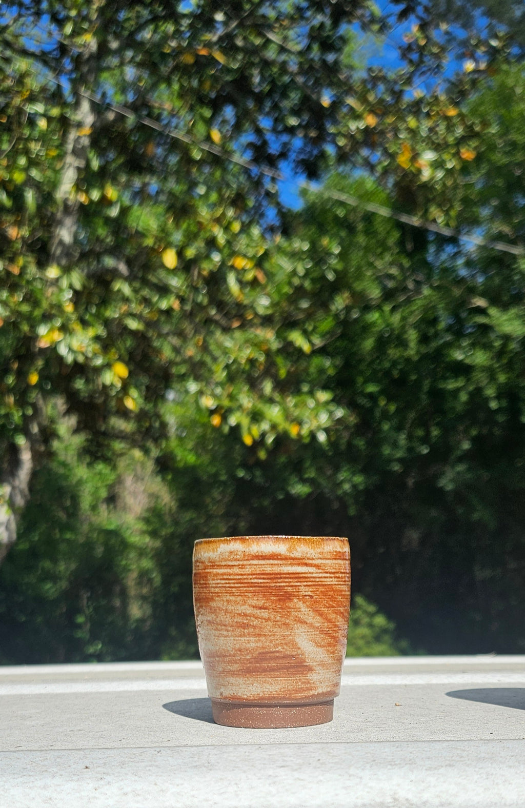 Two Shot Glass Set