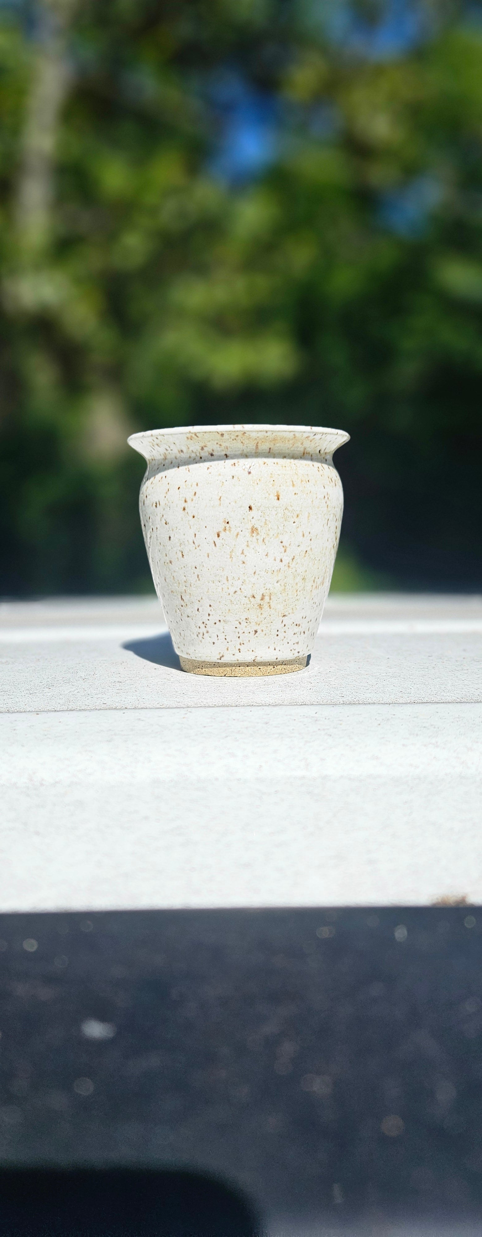 Speckled Vase 1