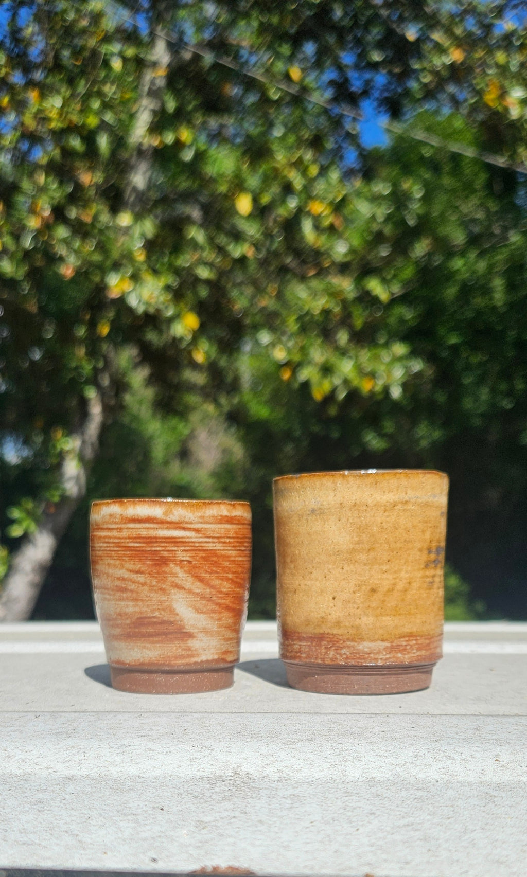 Two Shot Glass Set