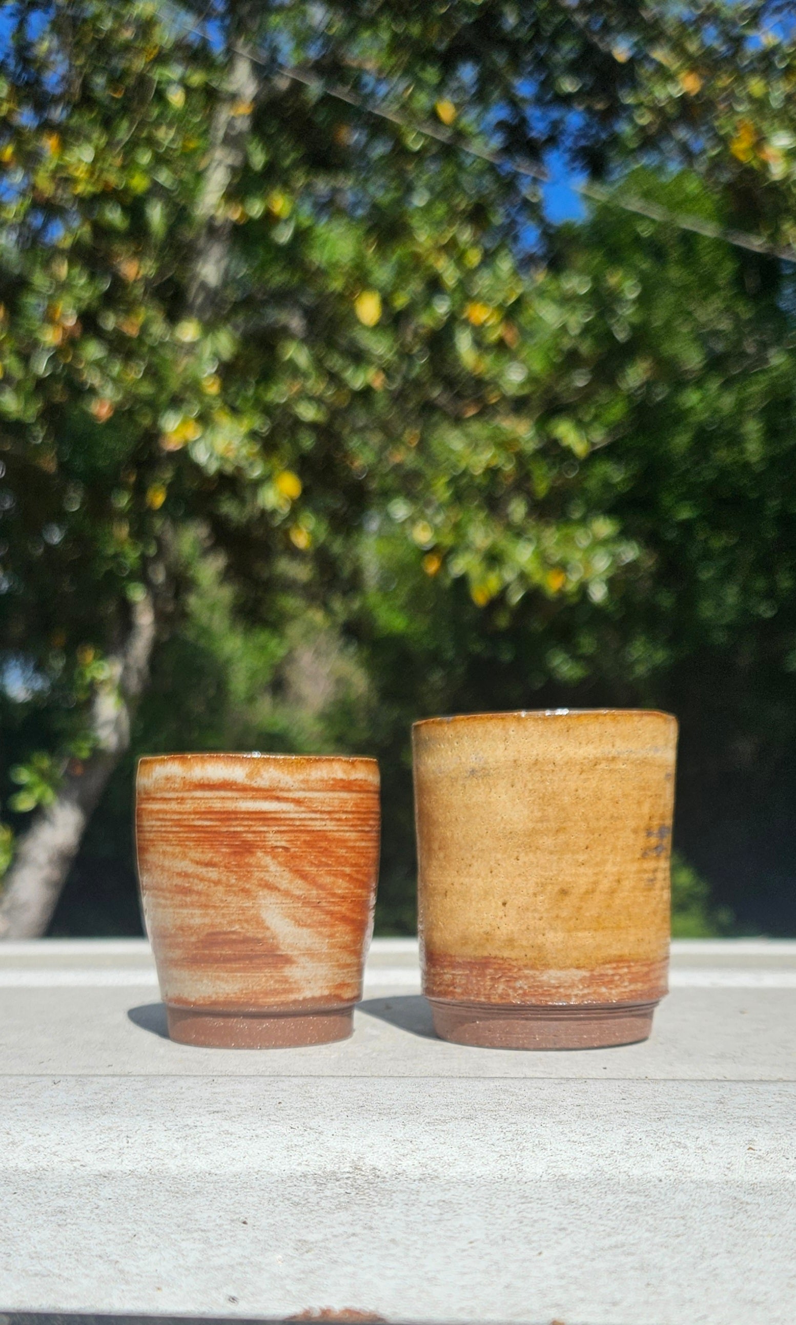 Two Shot Glass Set