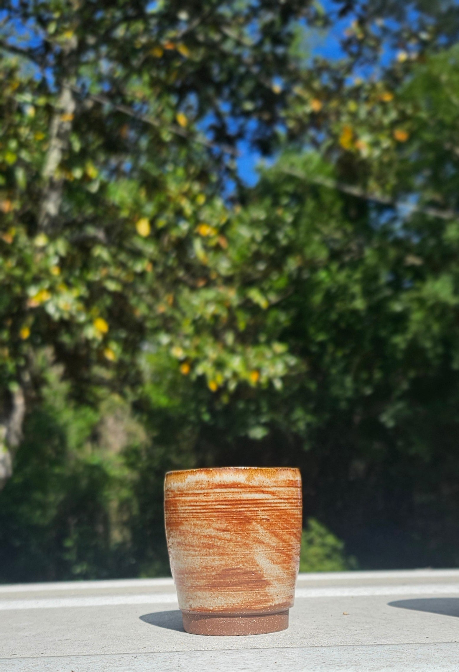 Two Shot Glass Set