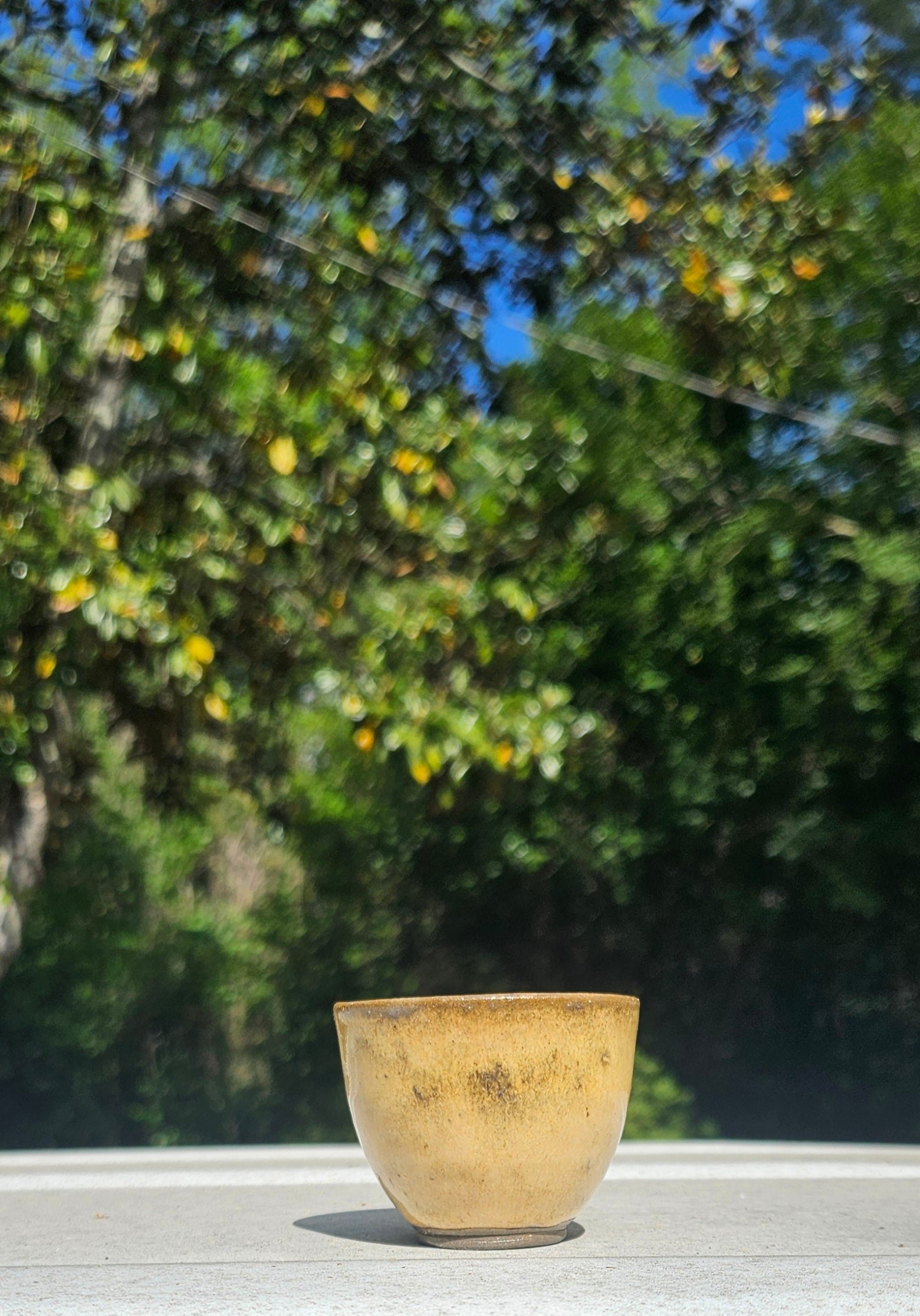 4 teacup/Shotglass Set