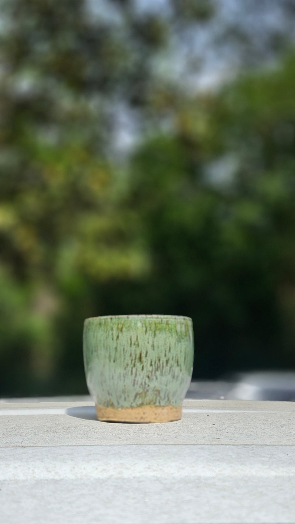 Small Desk Planter