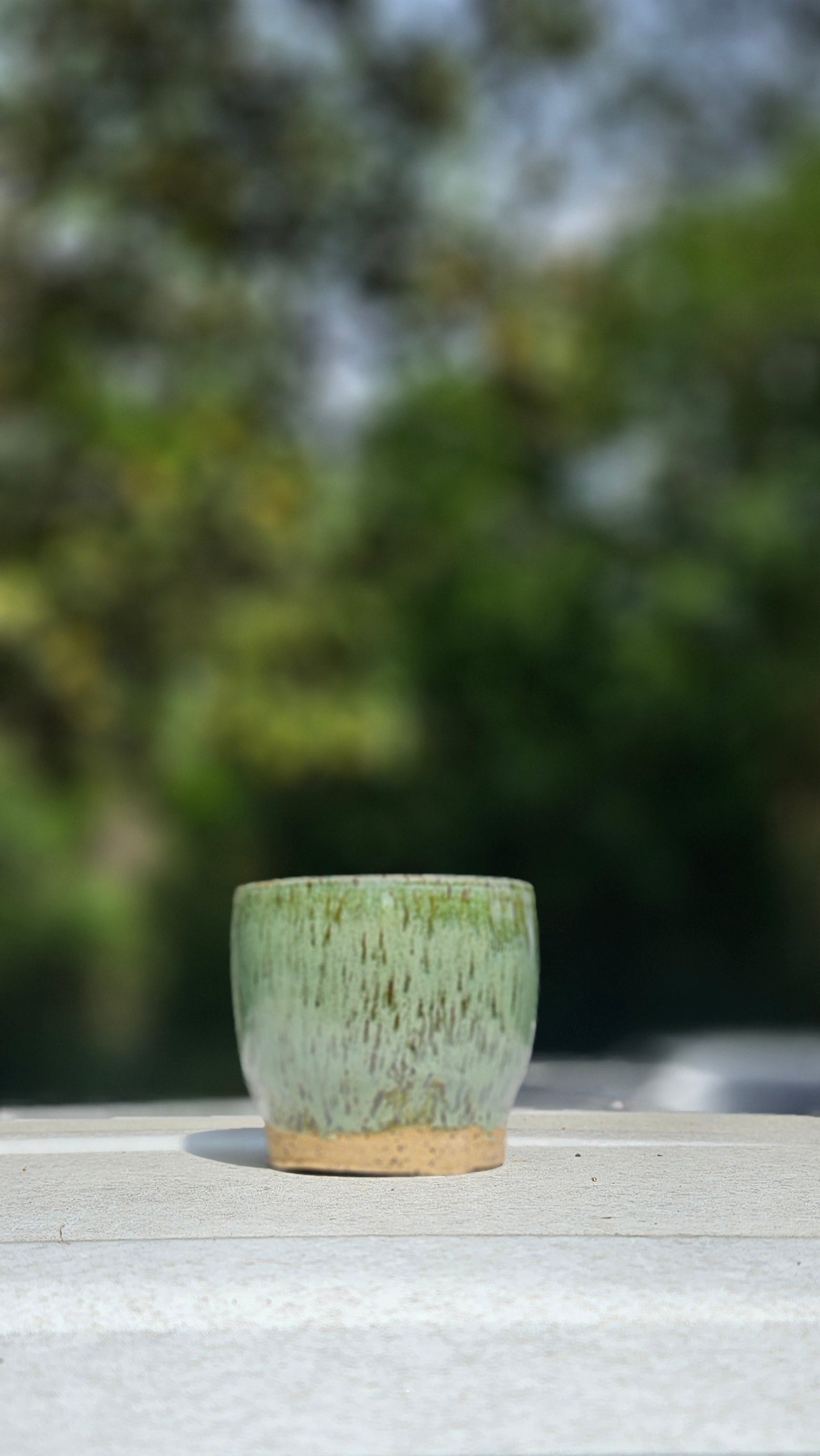 Small Desk Planter