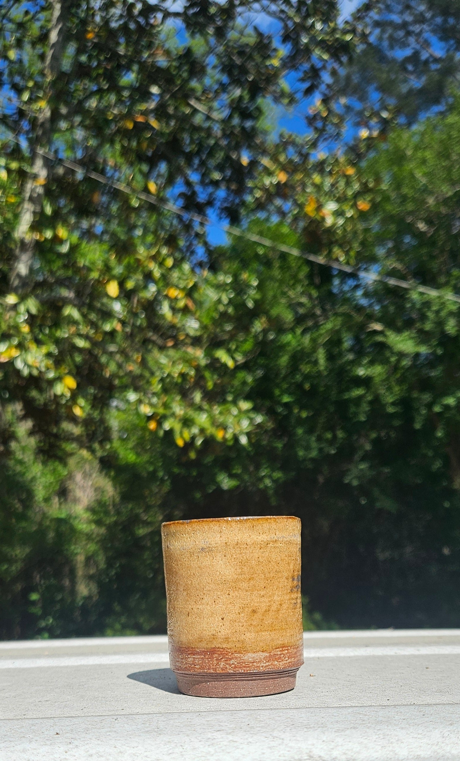 Two Shot Glass Set